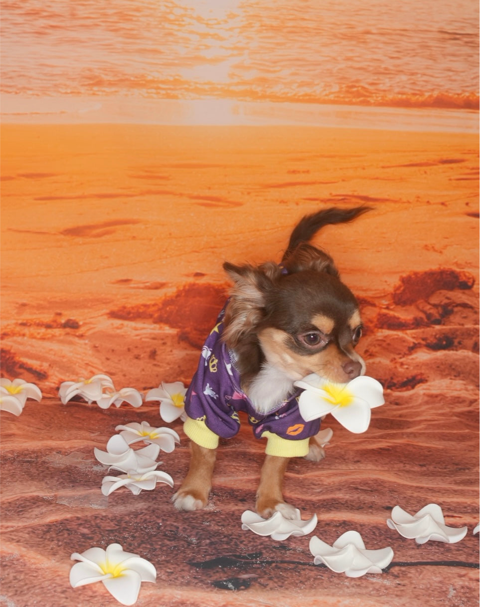 Mini Pop King Pet Hoodie