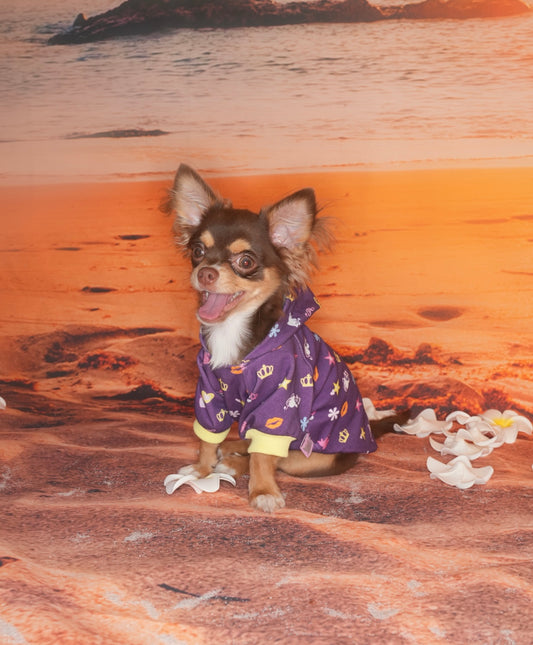 Mini Pop King Pet Hoodie