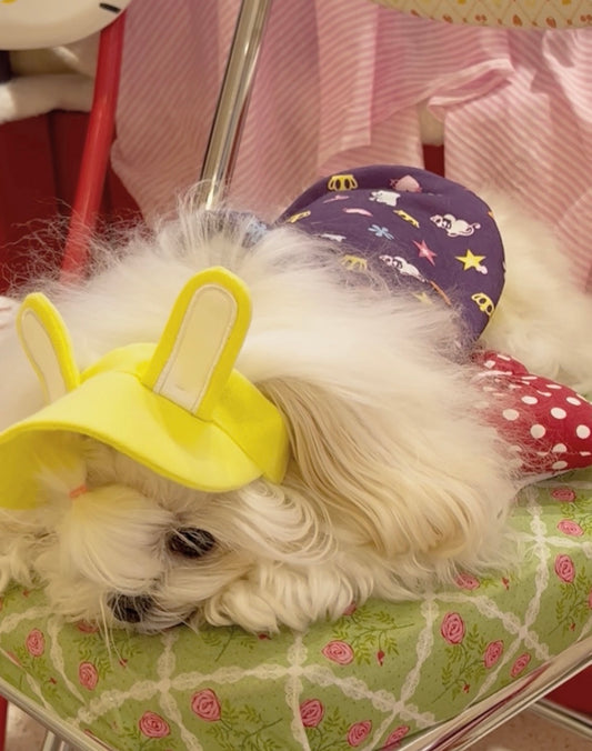 Bunny Bloom Pet Sun Cap